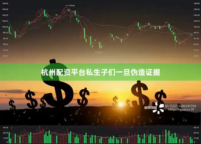杭州配资平台私生子们一旦伪造证据