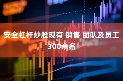 安全杠杆炒股现有 销售 团队及员工300余名