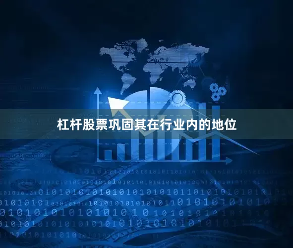 杠杆股票巩固其在行业内的地位