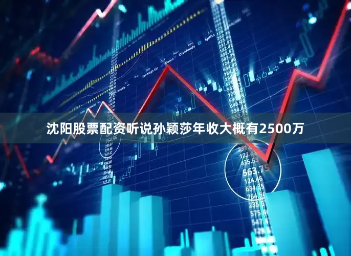 沈阳股票配资听说孙颖莎年收大概有2500万
